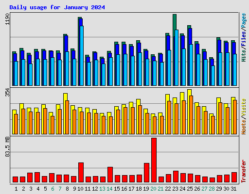 Daily usage for January 2024