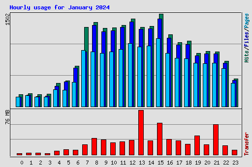 Hourly usage for January 2024