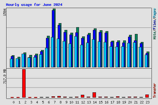 Hourly usage for June 2024