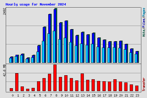 Hourly usage for November 2024