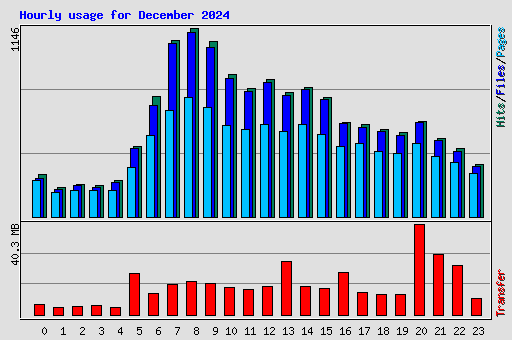 Hourly usage for December 2024